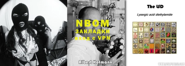 амф Бородино