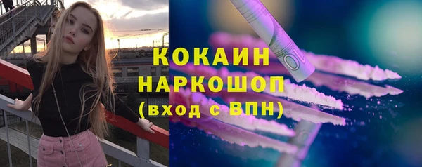 гашик Верея