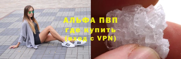 амф Бородино