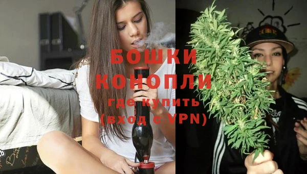 сатива Верхний Тагил
