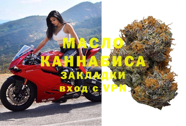 амф Бородино