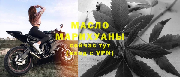 амф Бородино