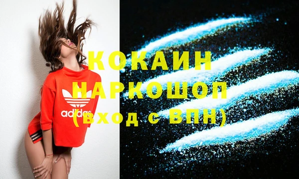 амф Бородино