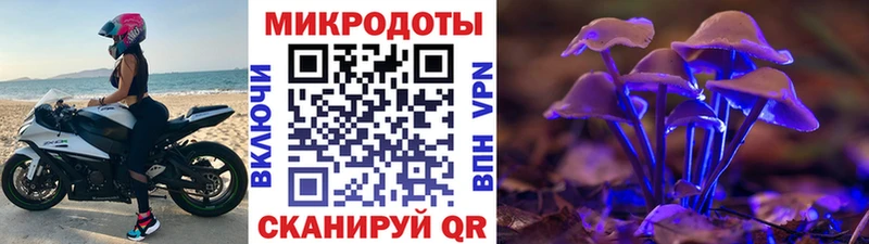 Псилоцибиновые грибы GOLDEN TEACHER  KRAKEN ТОР  Катав-Ивановск 
